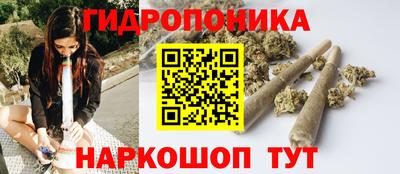 шишки Малгобек