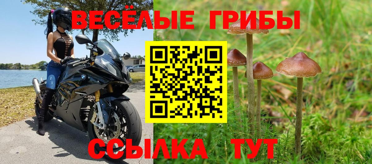 Псилоцибиновые грибы мицелий  Вход с VPN  Алексеевка 